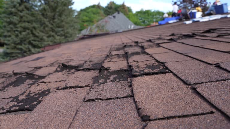 Best Chimney Flashing Repair  in Chevy Chase Heights, PA